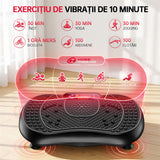 Placă Vibratoare C1